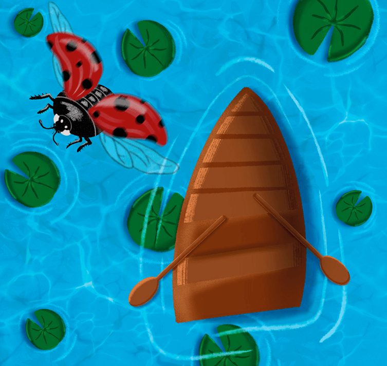 Ladybug